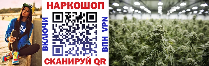 Как найти наркотики Няндома Cocaine Бошки Шишки Галлюциногенные грибы MEGA ONION ГАШИШ Кетамин Мефедрон А ПВП