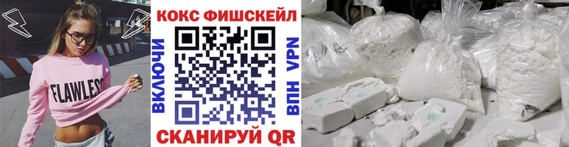 купить наркотик  Няндома  Cocaine FishScale 