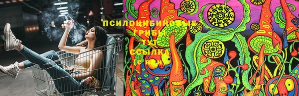 герыч Белокуриха