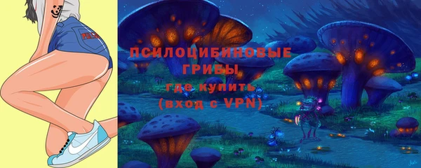 герыч Белокуриха