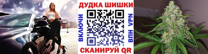 MEGA зеркало  купить наркоту  Няндома  Бошки марихуана Amnesia 